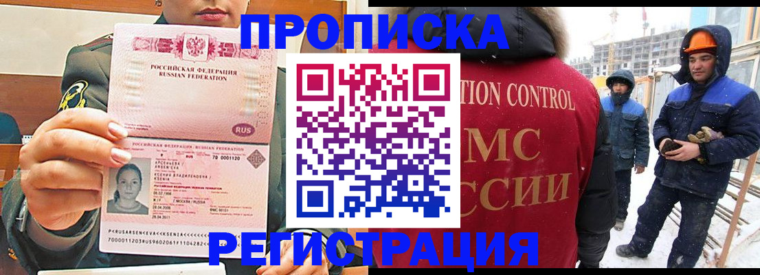 где прописаться в Коле